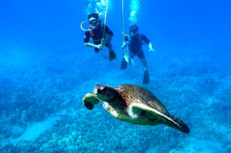 SNUBA Diving in Roatan – Beach Access
